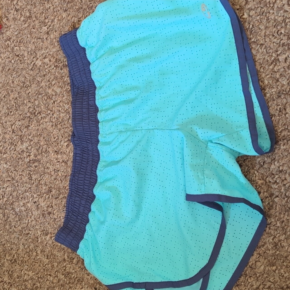 Champion Light Blue and Dark Blue Athletic Shorts